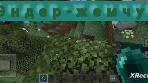 путешествую с помощью Эндер-жемчуга!он чо бесконечный?!♾️