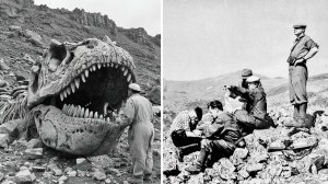 В 1905 году в Сибири исследователи  встретили живых динозавров