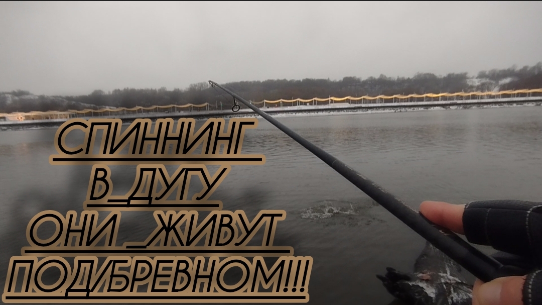 ОНИ ЖИВУТ ПОД БРЕВНОМ/РЫБАЛКА ПРЕСЛЕДУЮ ХИЩНИКА! смотреть онлайн