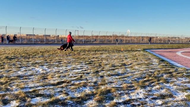 2 Отл. СС De Orse Mak Flai VOLAND DE MORT +++ №23. САНКТ-ПЕТЕРБУРГ 12 декабря`25 Моно н/о смотреть онлайн