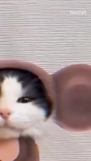 ✨💕а ну-ка давай-ка💕✨