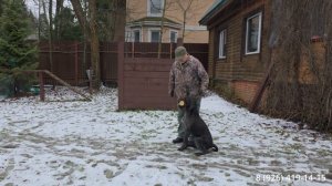 Продолжение работы с Арчиком