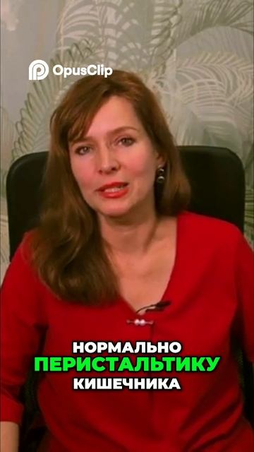 как аюрведа поддерживает пищеварение