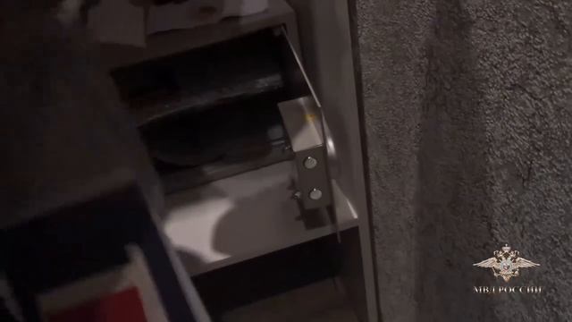 В Ульяновской области полицейские выявили преступное сообщество теневых банкиров смотреть онлайн