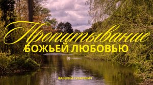 Пропитывание. Божьей любовью. Валерий Гусаревич.