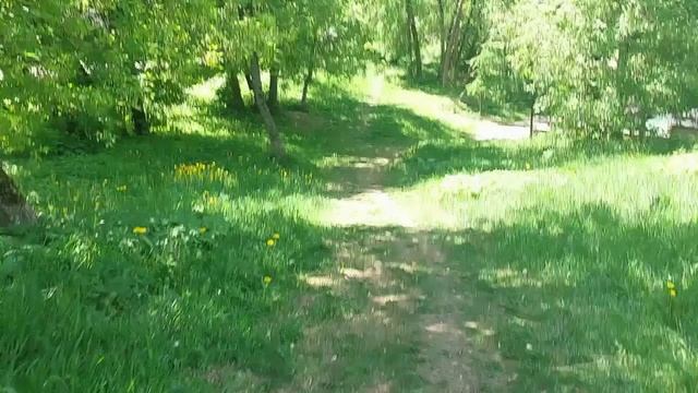 Территория вдоль улицы в водо-охранке включена в границы улично-дорожной сети а тротуар там не ложат