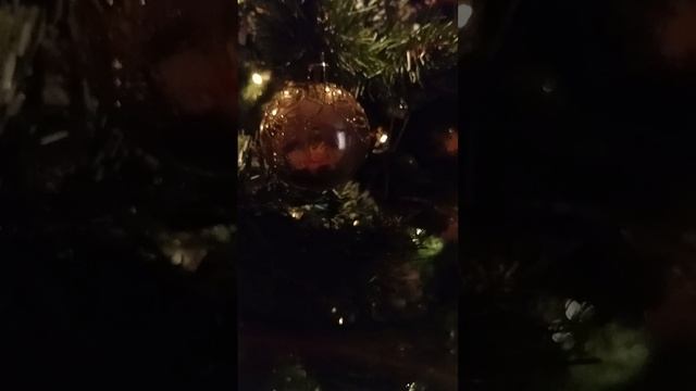 1000000597.mp4 смотреть онлайн