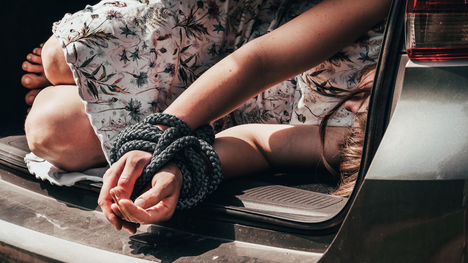 Официальный трейлер «Девушка похищена» смотреть онлайн