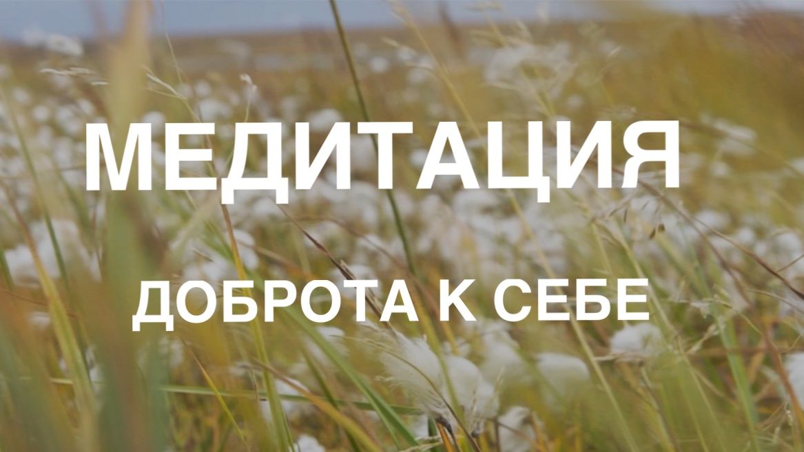 Встреча с Самосострадательным Я | CFT-практика для исцеления 🌱