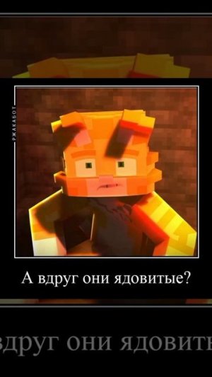 Ванесса и крискас😹😹😹