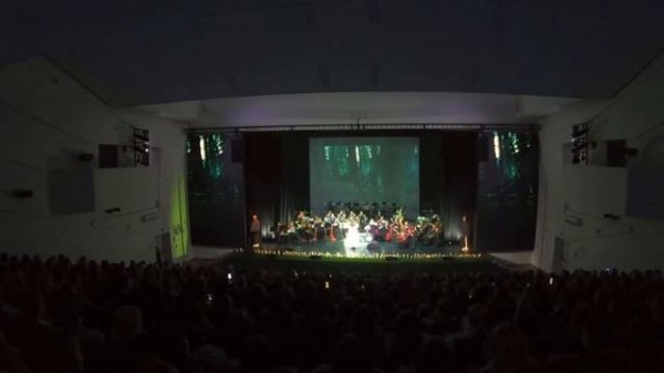 NELLA MUSICA ORCHESTRA «Сумерки. Сага. Стмфомультимедия»