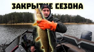 СКОЛЬКО же тут ЩУК?! Попал на выход! Трудовая рыбалка.