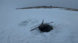 Рыбалка на налима. Перемёты на Енисее. 43