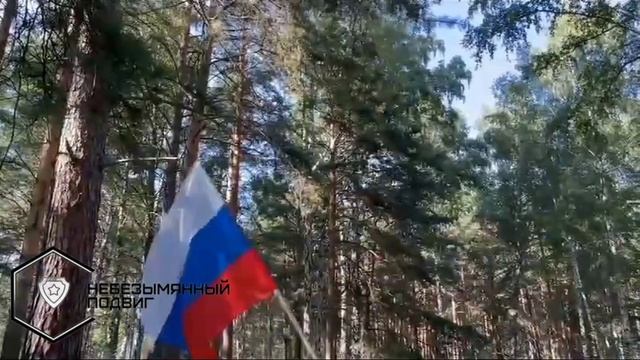 Что означают полосы на флаге России смотреть онлайн