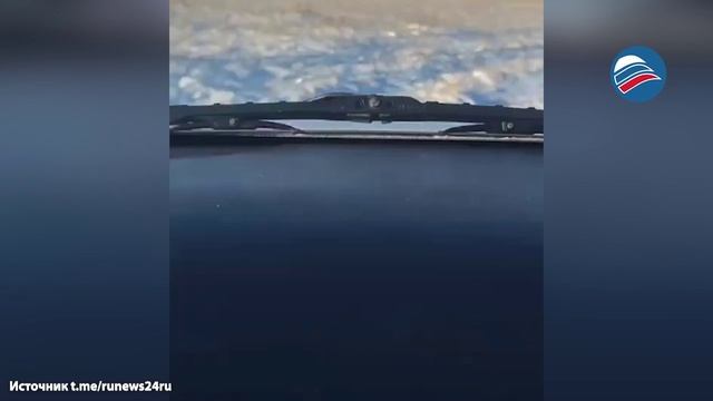 Трогательные кадры спасения лебедей на замёрзшем озере в Казахстане смотреть онлайн