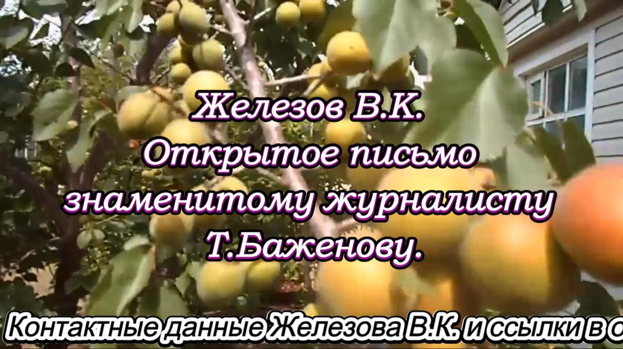 Железов В.К. Открытое письмо знаменитому журналисту Т.Баженову. смотреть онлайн