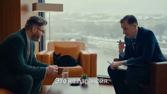 Коты Психика под Угрозой #анекдоты #анекдотыкотов смотреть онлайн