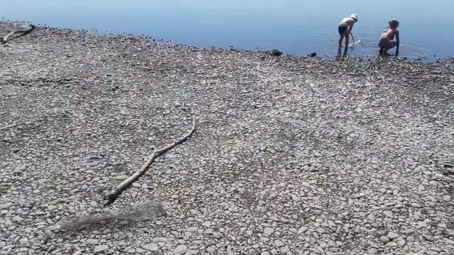 Поиск по мелководью. Шикарная находка. Деньга Сибирская. Коп 2019