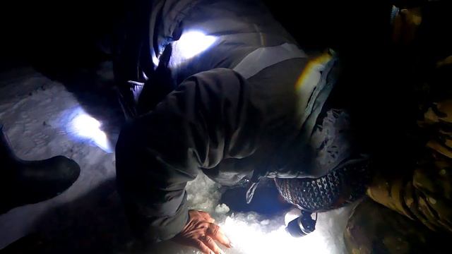 Гигантский судак /То ли судак монстр, то ли подруга 🤣🤣🤣🤣 смотреть онлайн