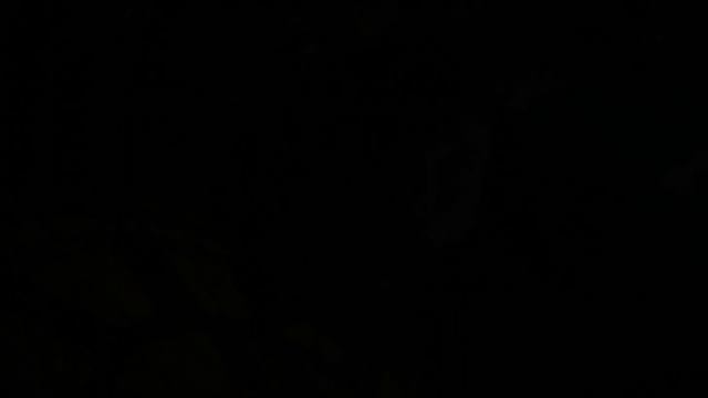 Маятник. © Copyright: Евгений Щербакоф, 2008 Свидетельство о публикации №108012301205 смотреть онлайн