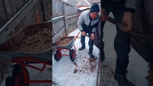 Занимаемся хозяйством.