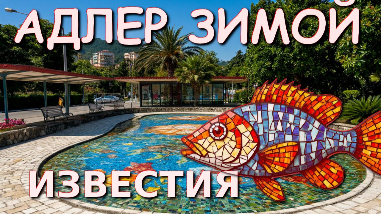 Сочи сегодня, Адлер сегодня, Сочи зимой, Зима в Сочи, Адлер обзор, Адлер море, Адлер Сочи смотреть онлайн