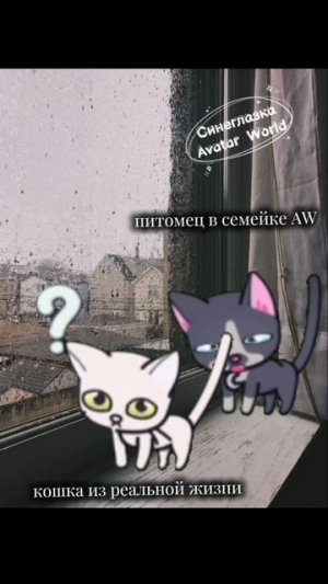 🐈Типичные КОШАкИ😎🐈⬛