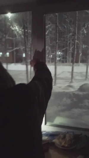 Бесхозная хата с открытыми окнами An abandoned flat with open windows