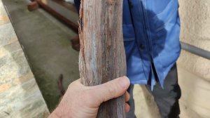 ОБРЕЗКА ВИНОГРАДНЫХ КУСТОВ НА АРКАХ!🍇🍇🍇 17.12.2025. Telegram, WhatsApp и Vlber +79528500417.