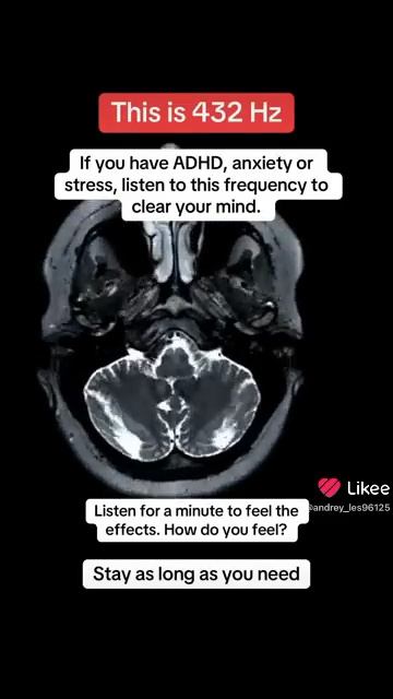 17-12-2025 смотреть онлайн