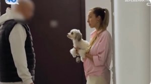 "Беременна по обману" 10 выпуск 10.12.2025 Чем кончится роман Натальи и Дениса