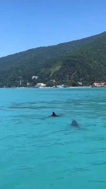 Море смотреть онлайн