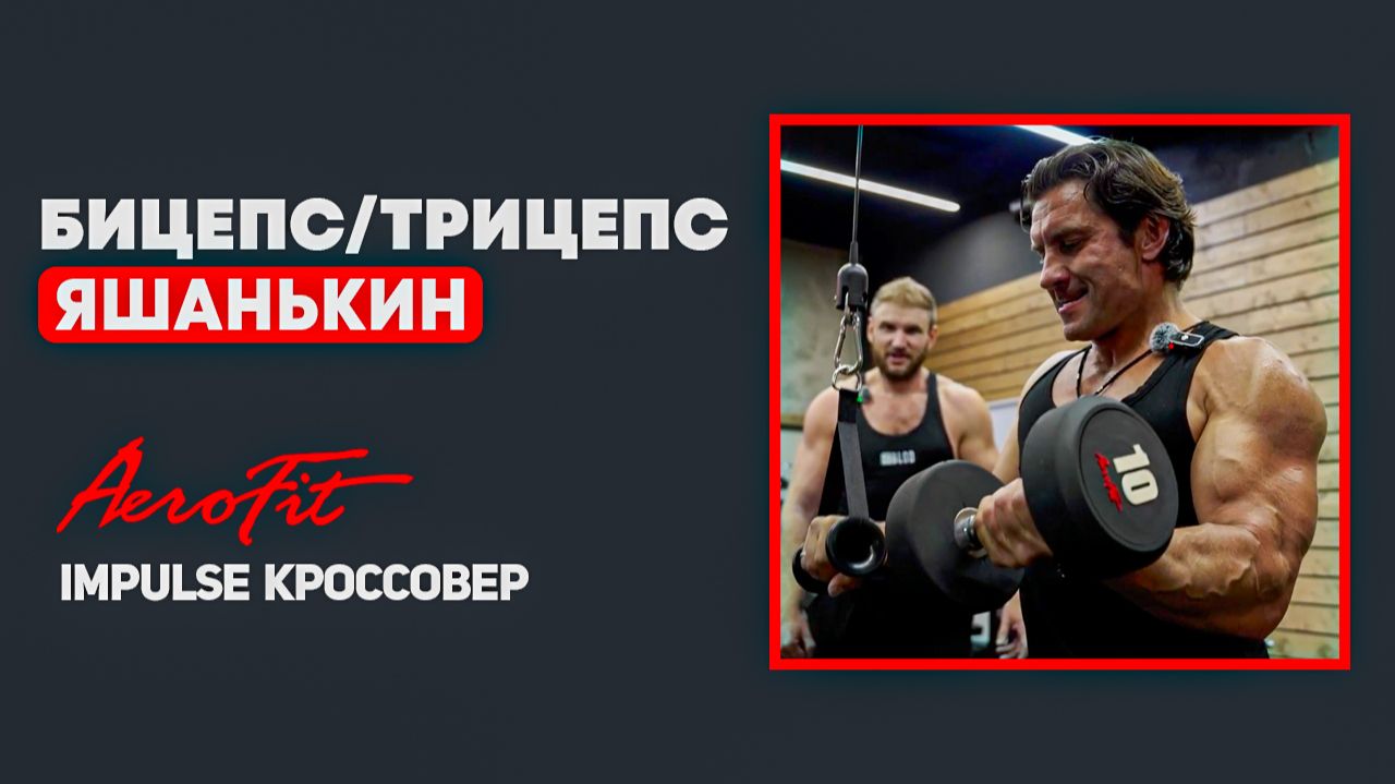 НЕЙРОФИТНЕС с Дмитрием Яшанькиным Impulse IT95 смотреть онлайн