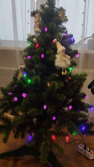 1000035726.mp4 смотреть онлайн