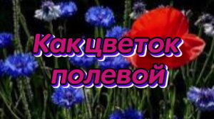 Как цветок полевой