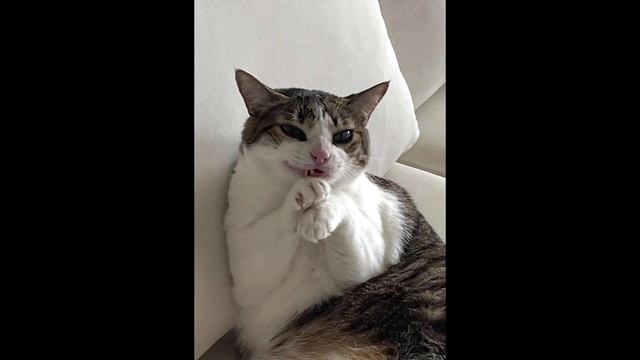 Разговоры с коллекторами 104 смотреть онлайн