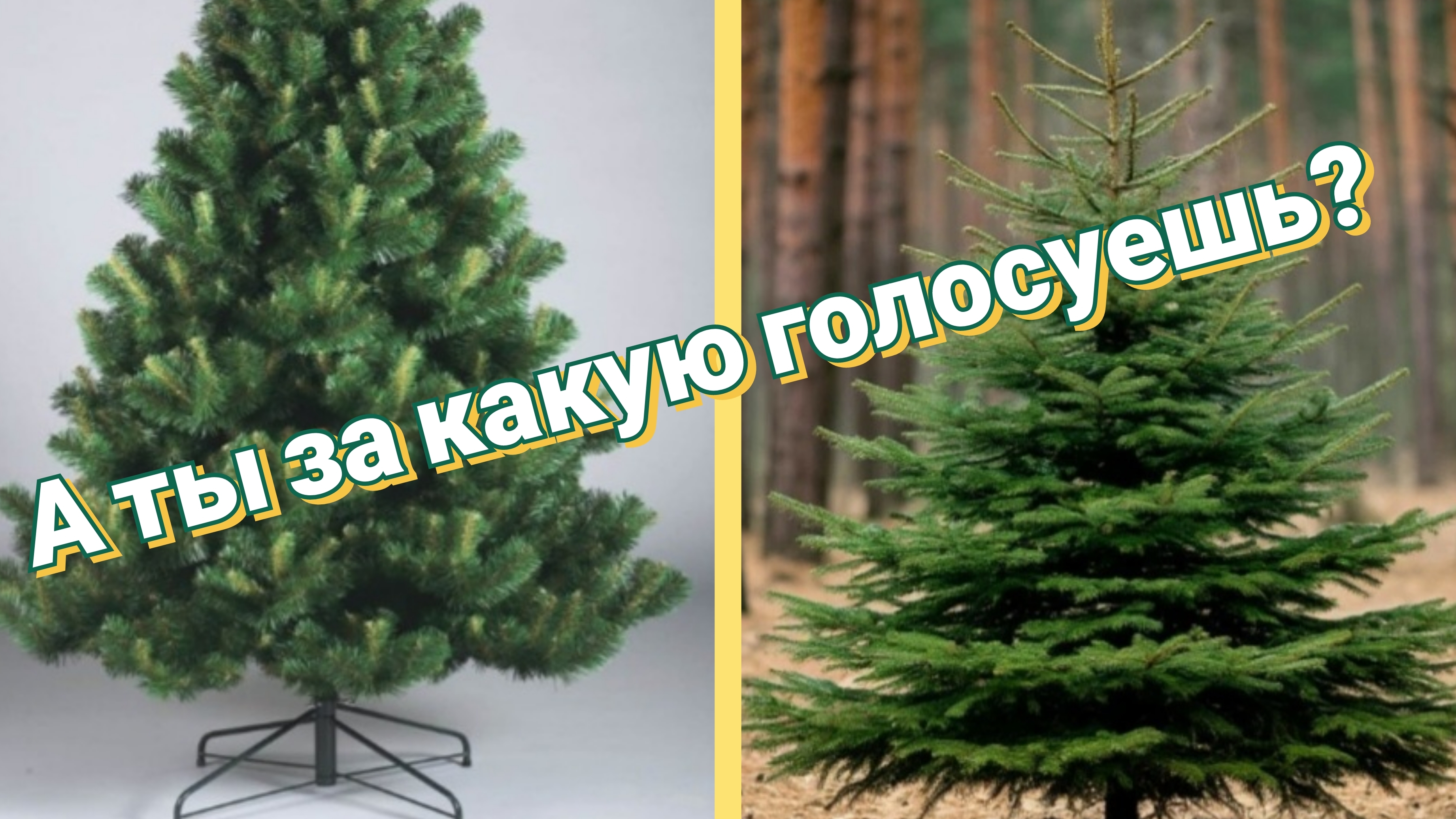 Новогодняя ёлка. Настоящая лучше или искусственная смотреть онлайн