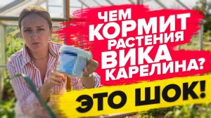ЧЕМ МЫ ПОДКАРМЛИВАЛИ РАСТЕНИЯ в 2025?