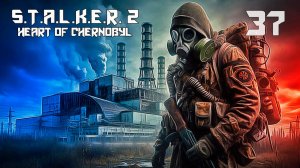СТАЛКЕР 2 СЕРДЦЕ ЧЕРНОБЫЛЯ #37 ДОБРОТНЫЙ ХАБАР