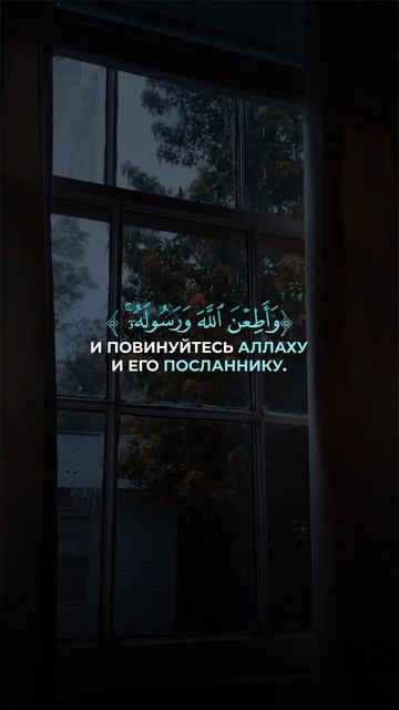 Сура Аль-Ахзаб аят 33 || Мухаммад Аль Люхайдан смотреть онлайн