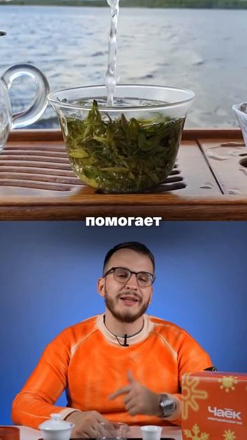 Как вода меняет вкус чая смотреть онлайн