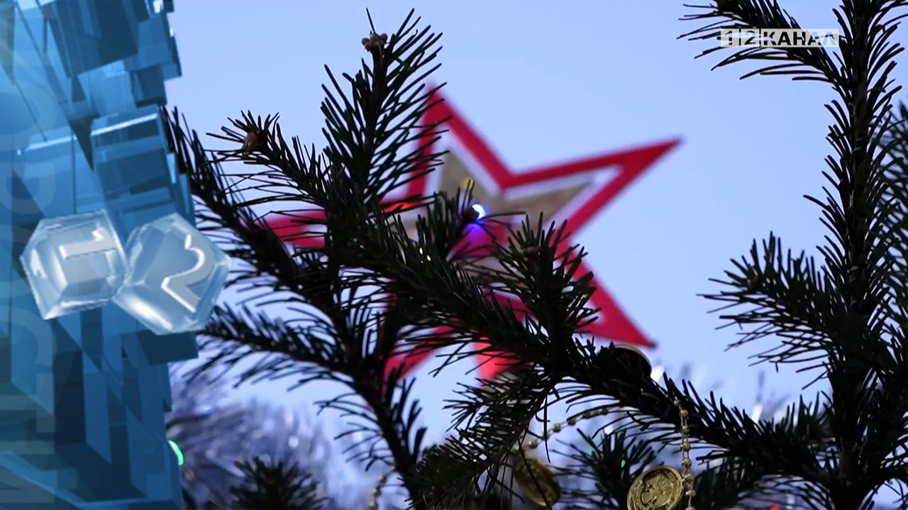 Разрешение на организацию елочного базара, можно получить в администрации города смотреть онлайн