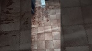 ВСЕМИРНЫЙ ПОТОП