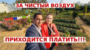 Индия опасна для жизни? Приходится платить за чистый воздух!