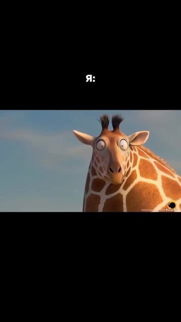 Новый год близко. А сеть салонов Абрикосик ещё ближе)