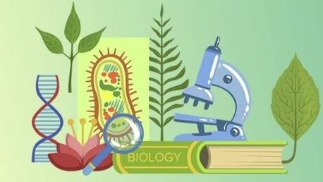 Биология 9 класс. Энергетический обмен в клетке смотреть онлайн