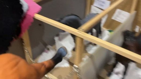 Как зовут всех моих лошадей(для вызова принят всякий случай)