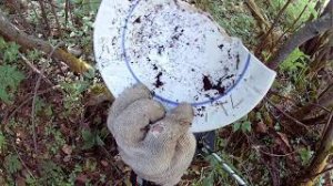 МЕТАЛЛОКОП.Видео с Копа,когда начал снимать Видосы, Семилетней давности