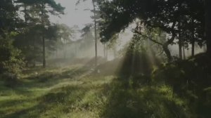 Жертва ради друга | История Вилли Холта