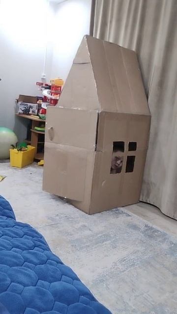 Юный строитель!